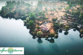 Kalptaru Farms, Immerse in Nature @Bhatghar, Bhor